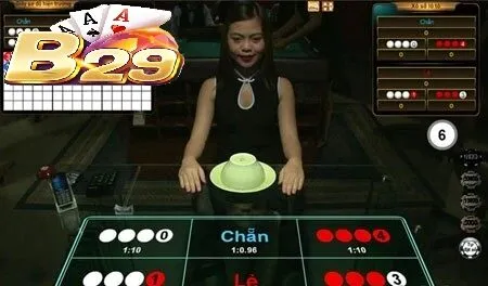 Kết Quả Xóc Đĩa B29 là gì?